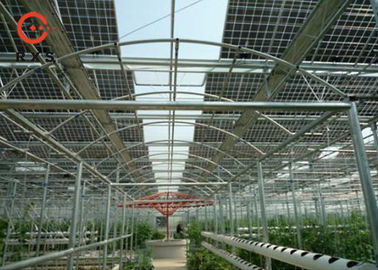 Dual Glass Monocrystalline Solar Panel , 305W Perc Solar Panel Transparent Type